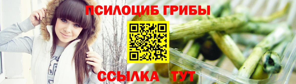 Псилоцибиновые грибы Psilocybine cubensis  Вход с VPN  Волжский 